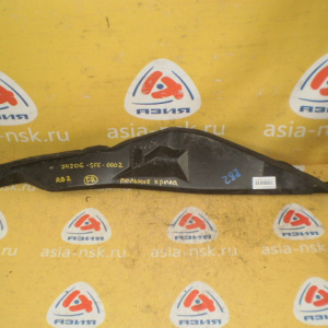 Пыльник крыла Honda Odyssey RB2 перед, прав 74206-SFE-0002
