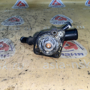 Корпус термостата Ford 1S4E8594AA Focus 1 CAK Split Port/YS4E '2001