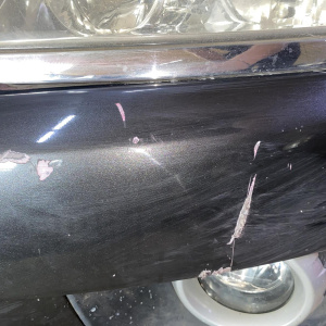 Ноускат Ford Territory '2009 Австралия, галоген