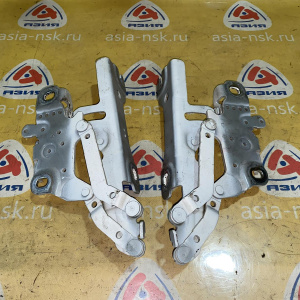 Петля капота BMW 3-Series F30 '2013 белый, пара 41617286344 41617286343