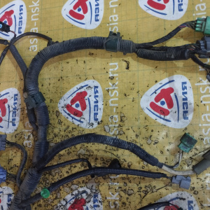 Коса ДВС Honda B20B Stepwgn RF2-1237258 4WD a/t S4TA без датчика детонации селектор на 10 конт. трамблер 7+2 конт. 32110-P3G-900