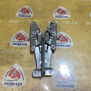Петля капота Mercedes E-Class W211/W219/C219/W220/C215 Пара, Серебро 775U A2118800228 A2115405645