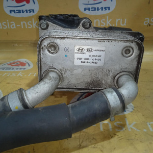 Теплообменник Hyundai 264102F020 Santa Fe DM/B8 D4HB '2017