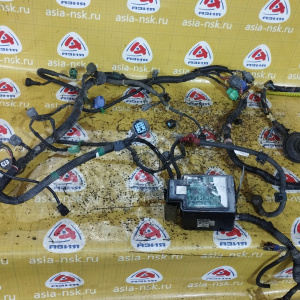 Коса ДВС Honda B20B Stepwgn RF2-1039160 4WD a/t S4TA+компьютер 37820-P3G-921+ 1 БЛОК РЕЛЕ 38250-S47-003 без датчика детонации селектор на 10 конт. тра