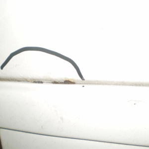 Крыло TOYOTA Vista SV30 перед, прав Hardtop (коррозия) 53801-32240