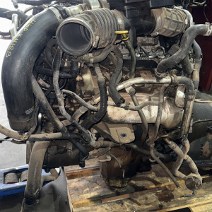 Двигатель Nissan V9X6A6-C000128 Navara/Pathfinder