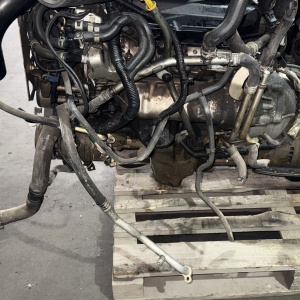 Двигатель Nissan V9X661-C008455 Navara/Pathfinder