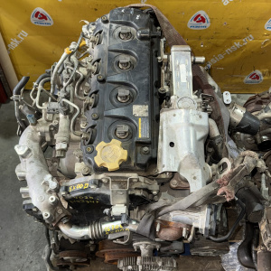 Двигатель Nissan YD25-DDTI-313274A 4WD 190 л.с  ТНВД  167005X00D Pathfinder/Navara D40 R51 '2013-